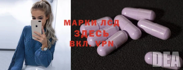 стафф Алзамай