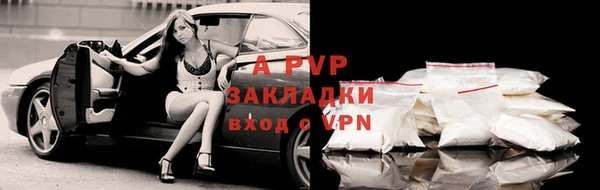стафф Алзамай