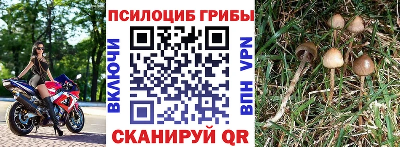 Псилоцибиновые грибы MAGIC MUSHROOMS Борзя
