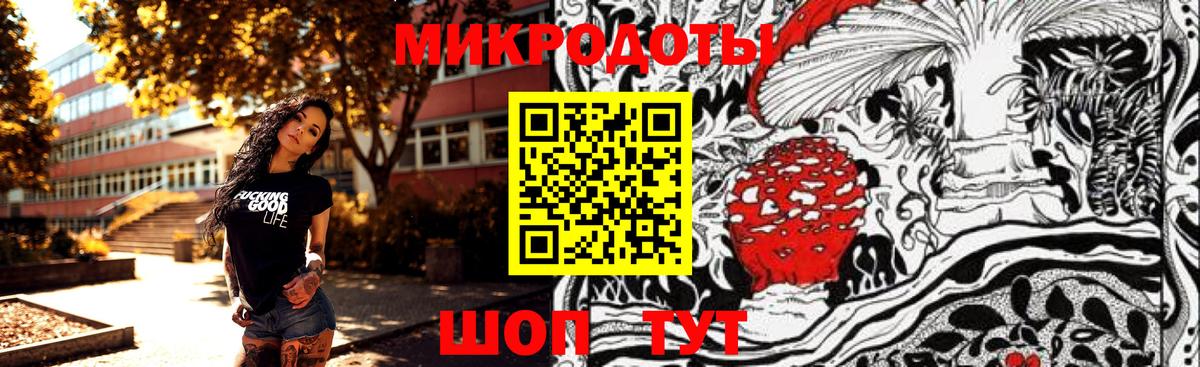 Борзя  Галлюциногенные грибы мицелий  Вход с VPN 