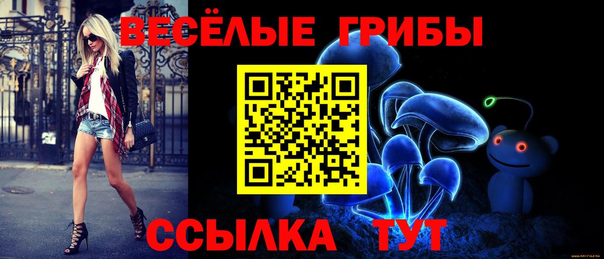 Псилоцибиновые грибы GOLDEN TEACHER Борзя